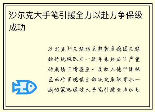 沙尔克大手笔引援全力以赴力争保级成功