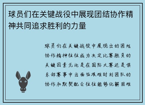 球员们在关键战役中展现团结协作精神共同追求胜利的力量