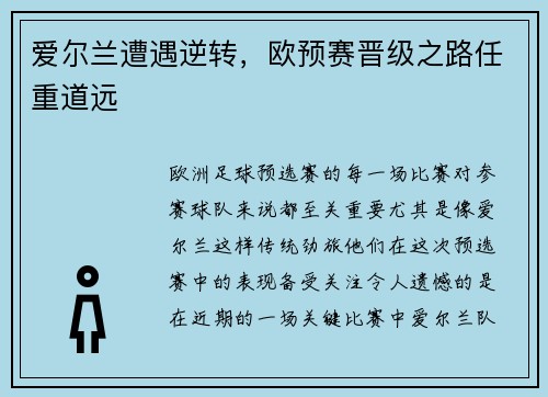 爱尔兰遭遇逆转，欧预赛晋级之路任重道远