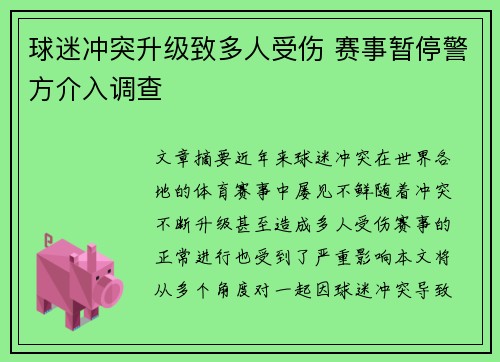 球迷冲突升级致多人受伤 赛事暂停警方介入调查